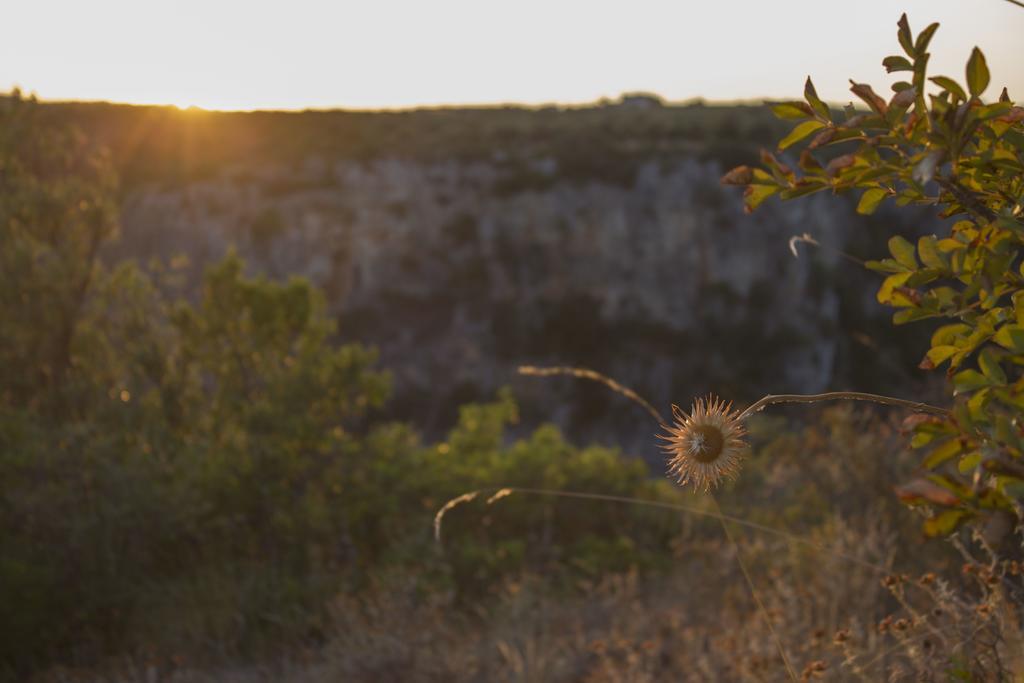 La Ferula Βίλα Laterza Εξωτερικό φωτογραφία